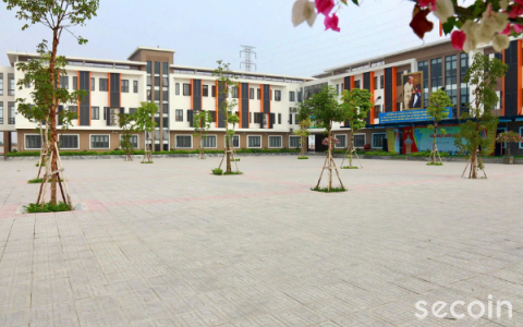 Cách làm mới gạch nghệ thuật ngoài trời đơn giản, nhanh chóng